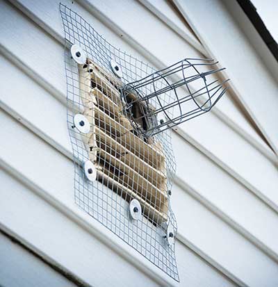 gable vent with exclusion door