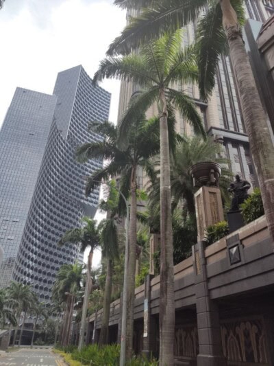 Visoke poslovne zgrade i palme duž ulice u centru Singapura