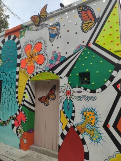 Šareni mural sa leptirima, cvetovima i gljivama krasi zid pored vrata