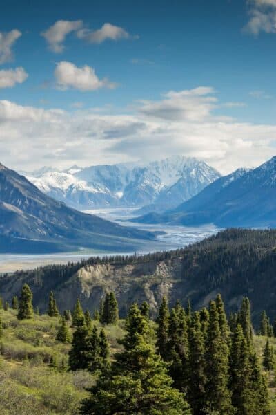 acrylic landscape painting