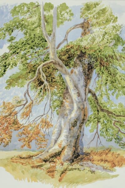 beautiful acrylic painting ideas