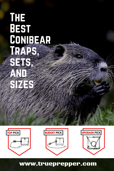 The Best Conibear Traps, Sets, and Sizes