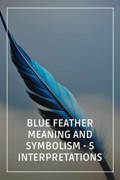 blue feathers pinterest pin