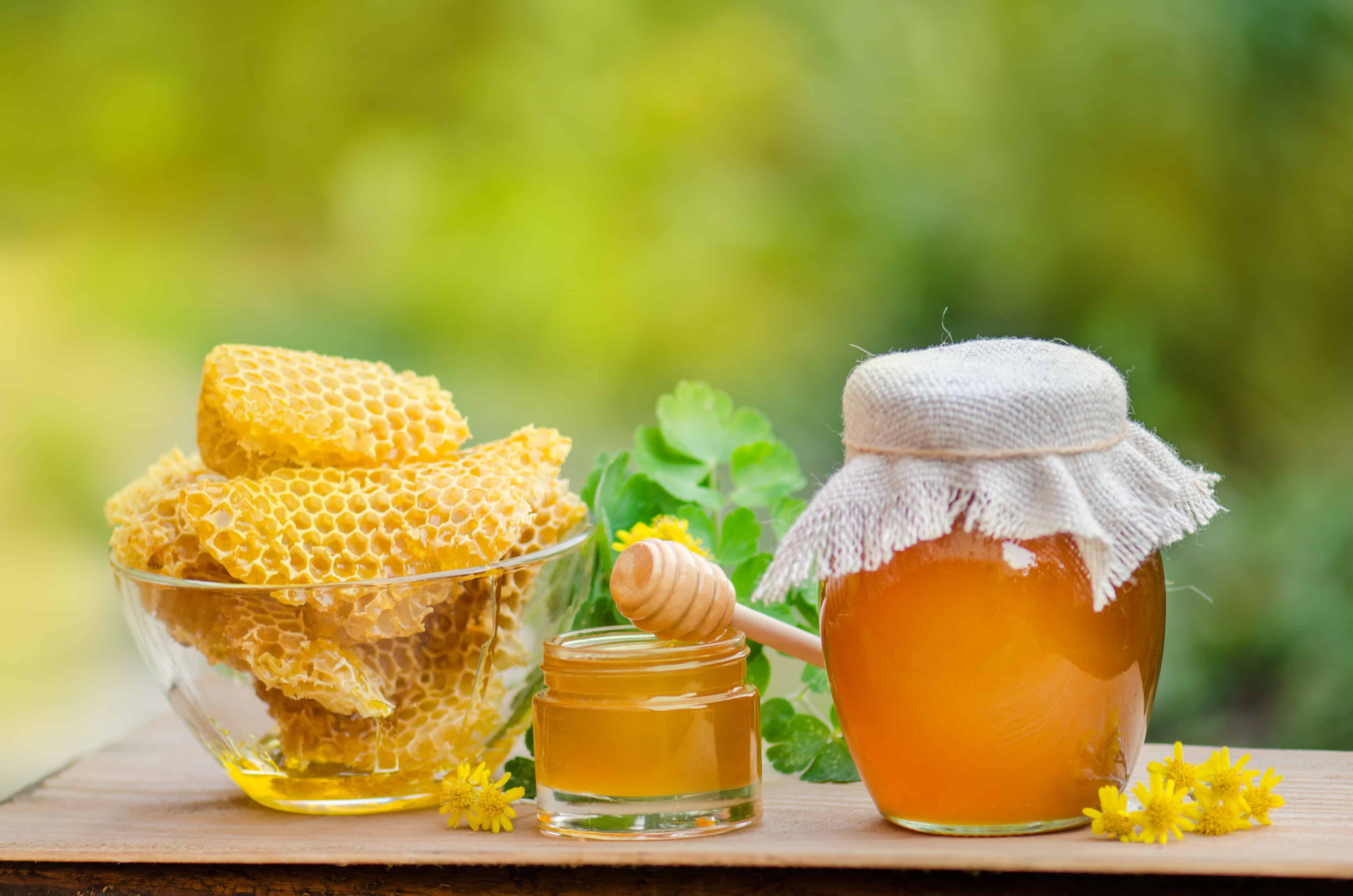 mauna loa honey