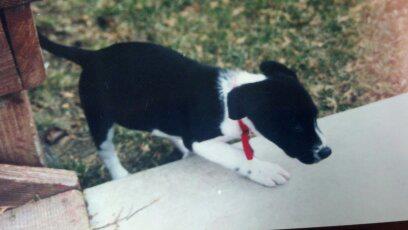 He was a good boy! :) And adorable!