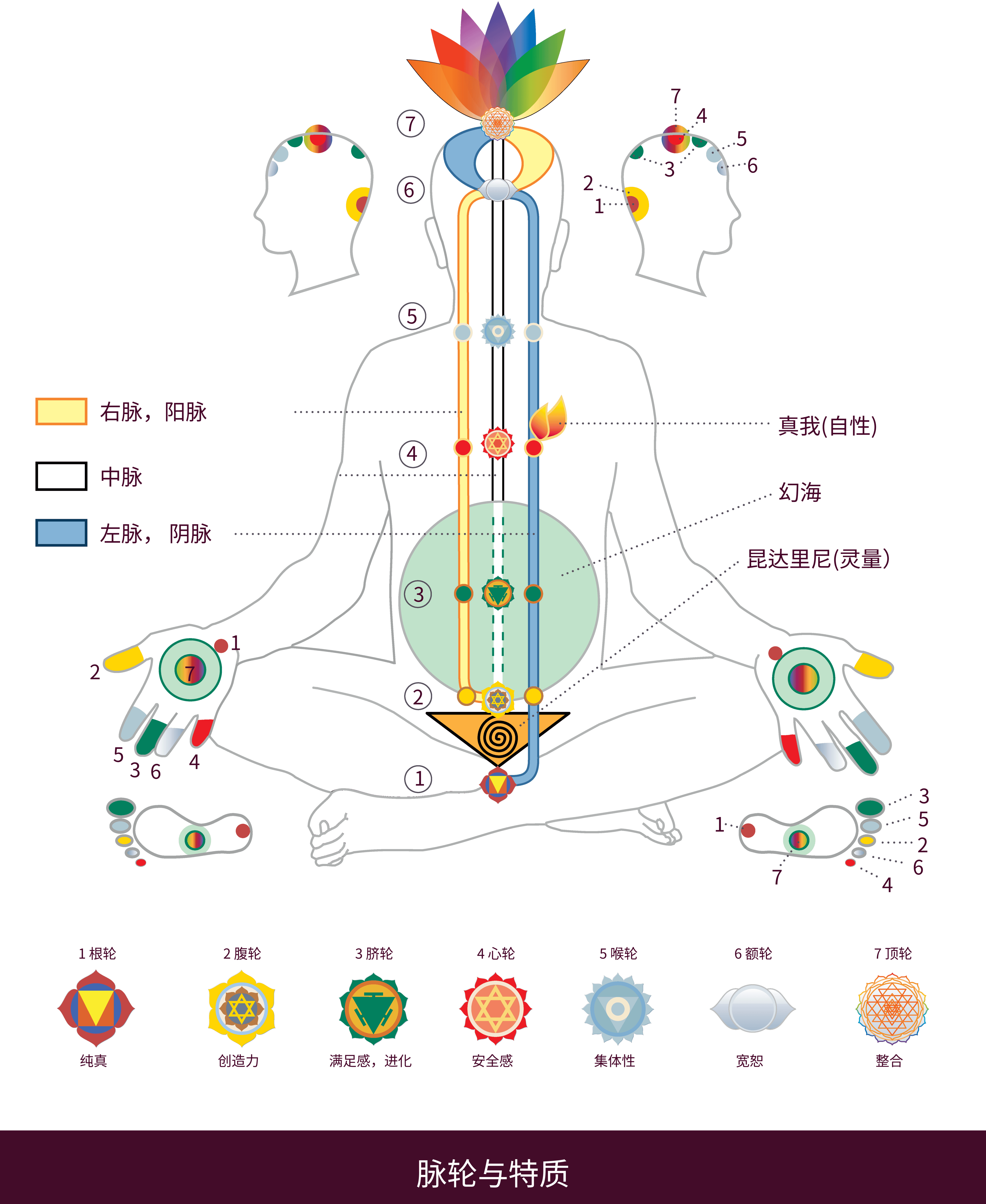 zh-Chakras &amp; Qualities