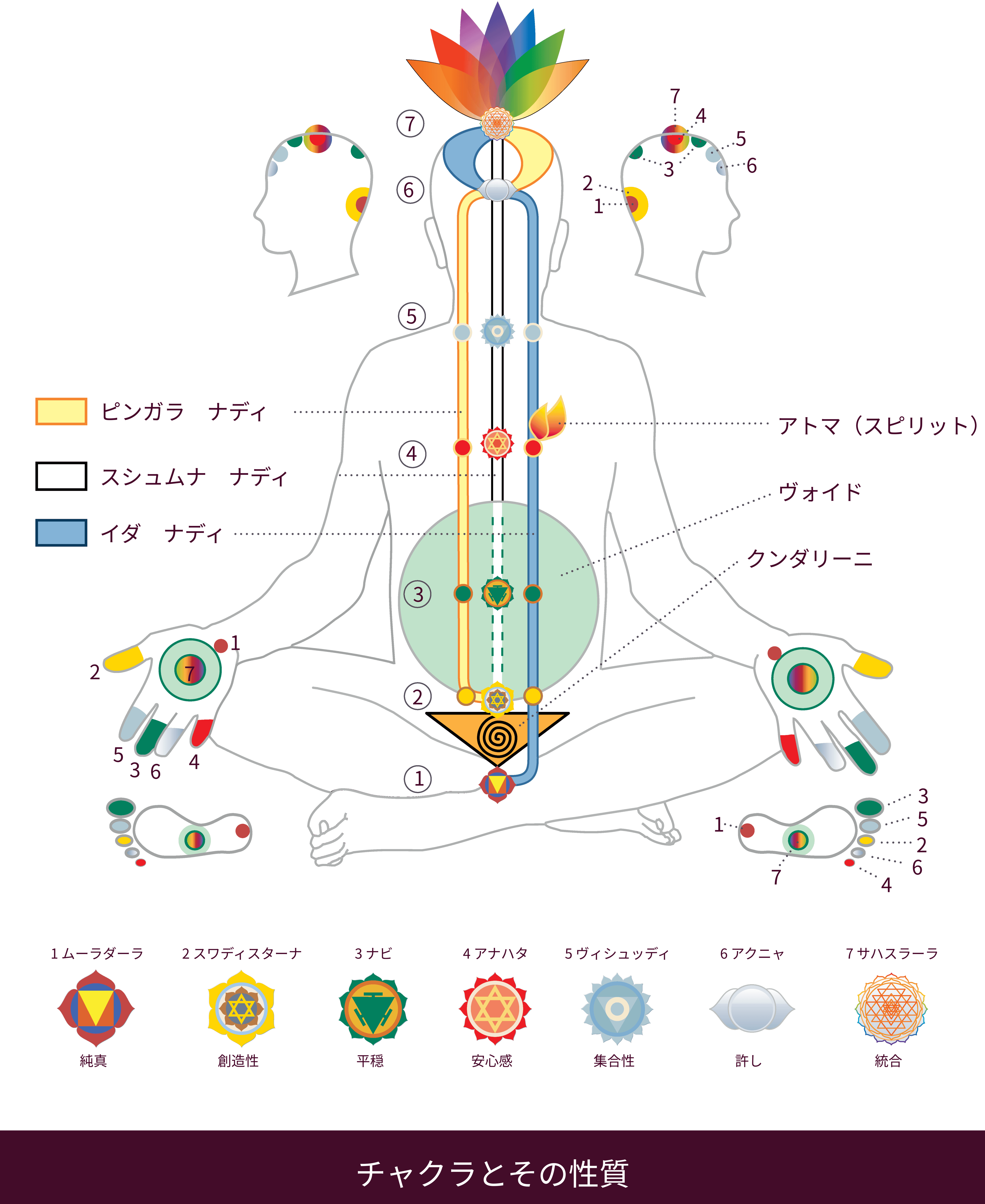 jp-Chakras &amp; Qualities