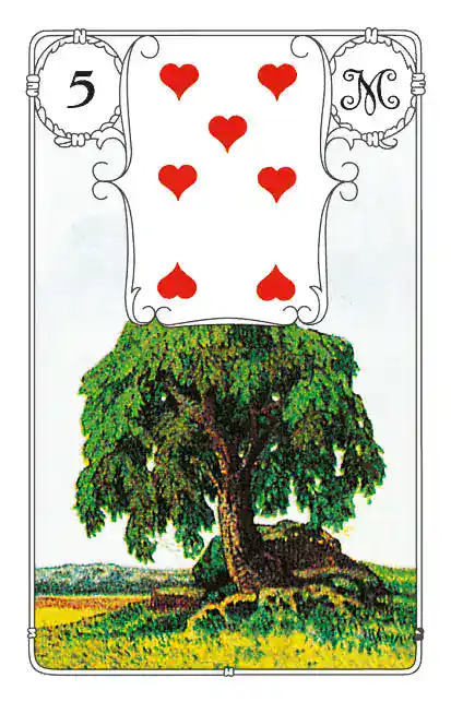 Lenormand Baum ist Lenormandkarte 5.