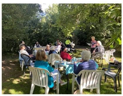 Tea in Angus Wood