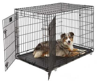 Double Door Wire Dog Crate with Blue Merle Australian Shepherd sitting in it.