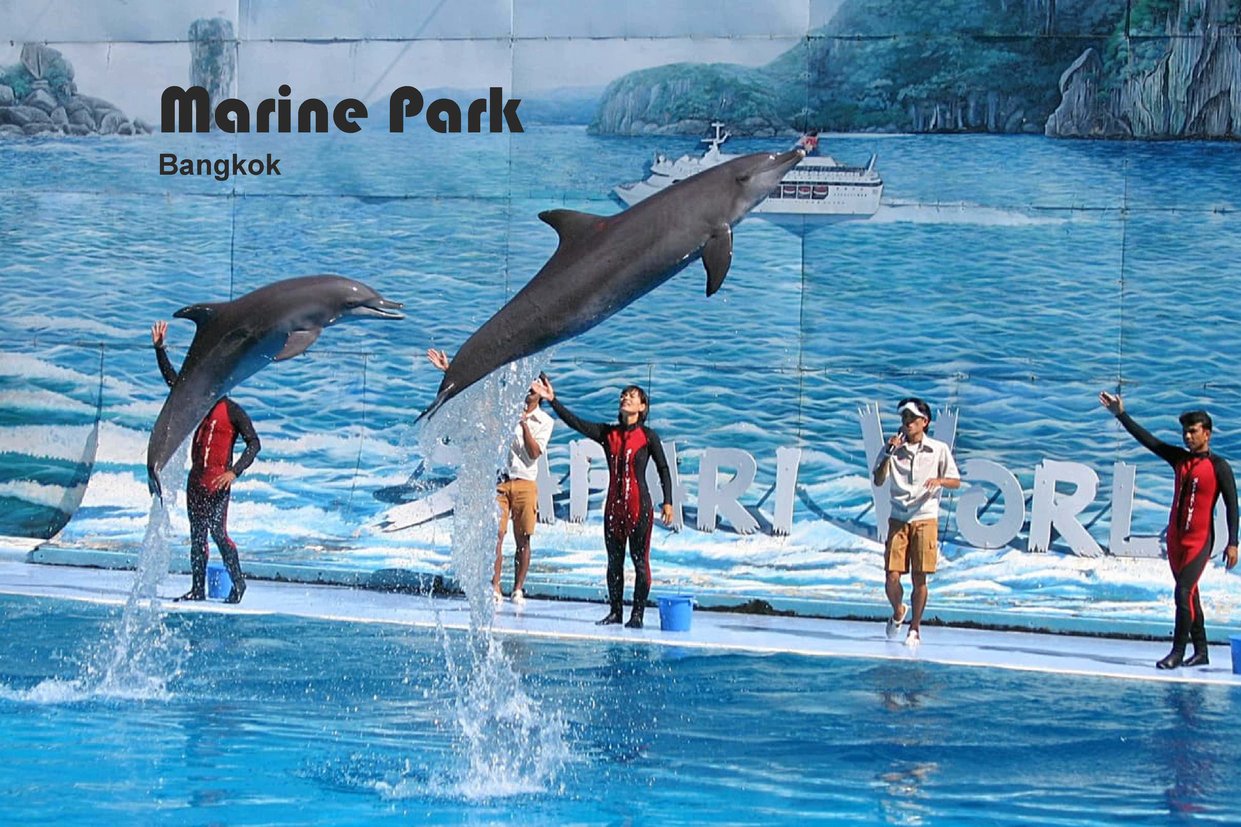 Marine Park