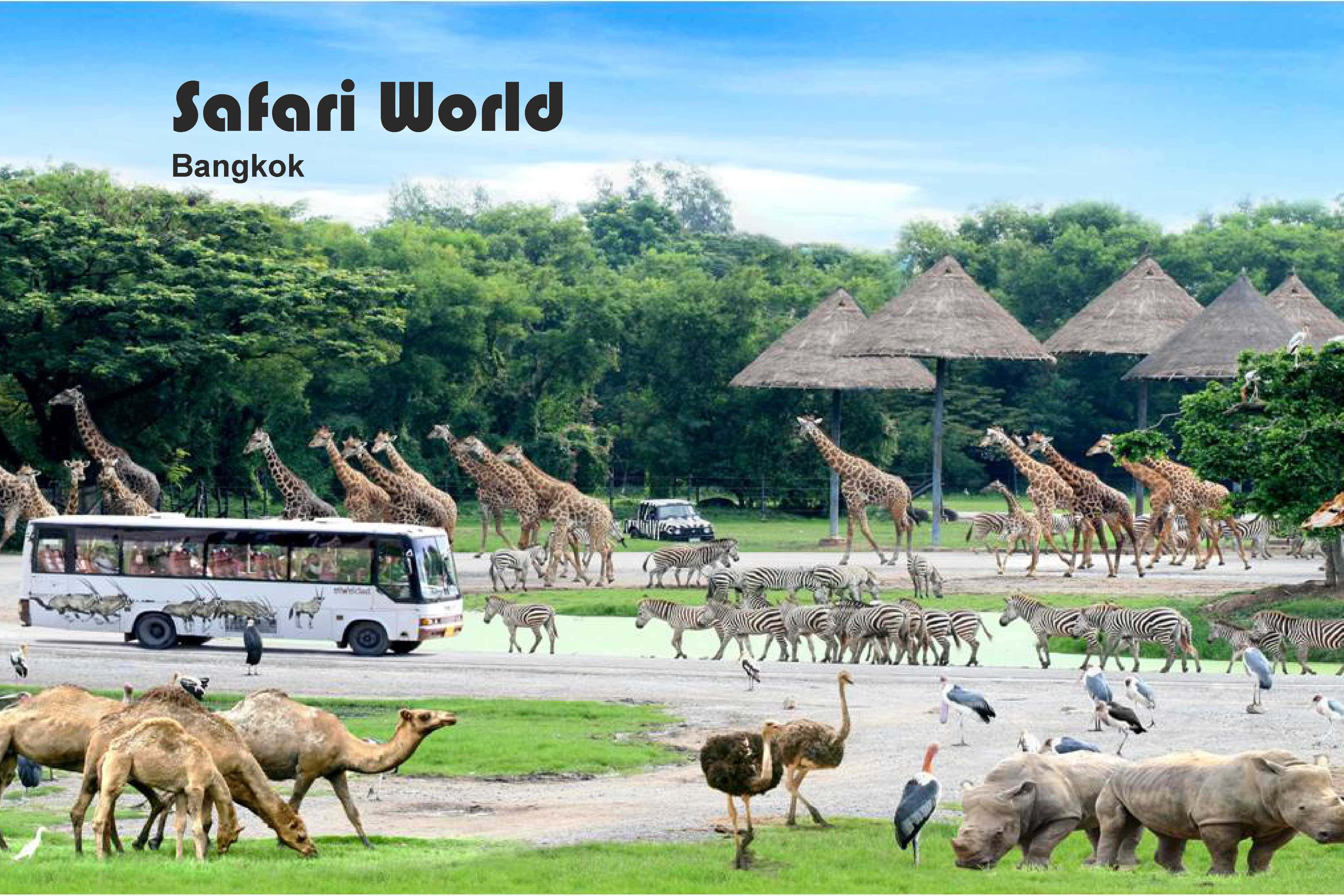 Safari World