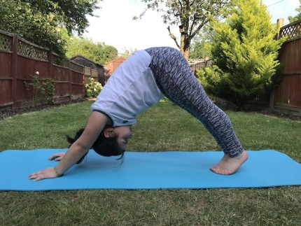 Downward-facing Dog position