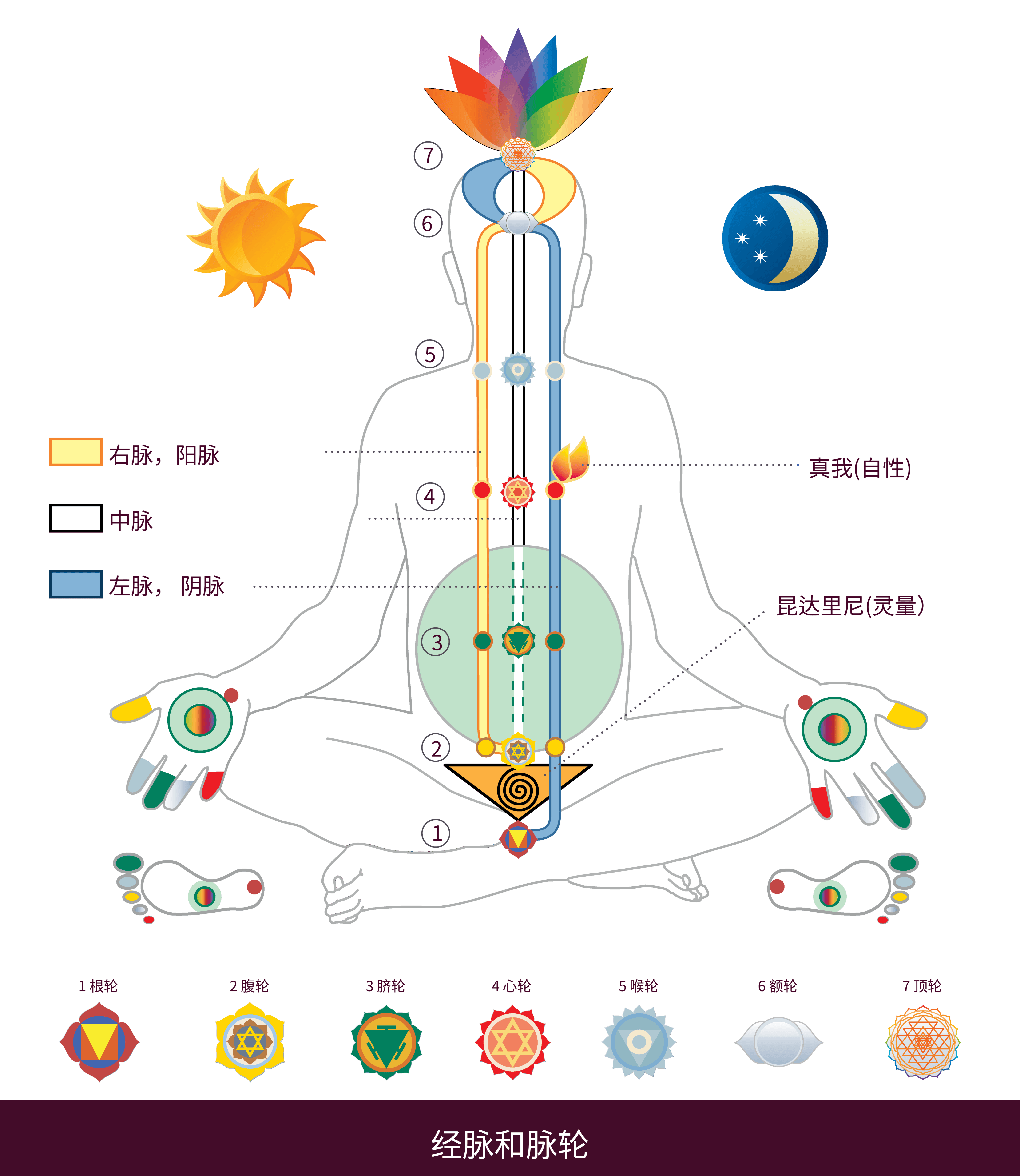zh-Nadis &amp; Chakras