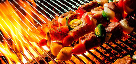 BBQ boot Amsterdam - Barbecue boot Amsterdam