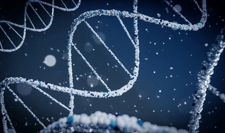 Stem cell research