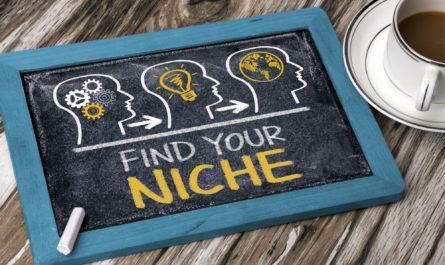 how to find your niche