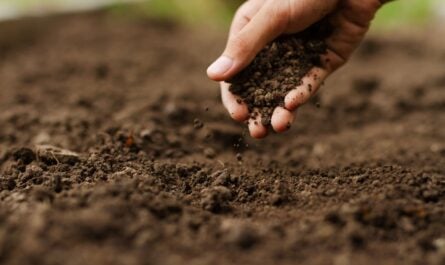 Eric Denfeld Weeds Are Telling You Something