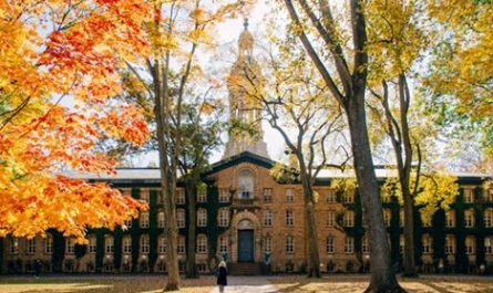 Anna Shields on the Ivy League Advantage