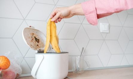 CleanChoice Energy Reviews the Top Composters to Help Reduce Your Carbon Footprint