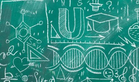 Insights from Gian Stefano Brigidi On Building a Curriculum for Advanced Scientific Education