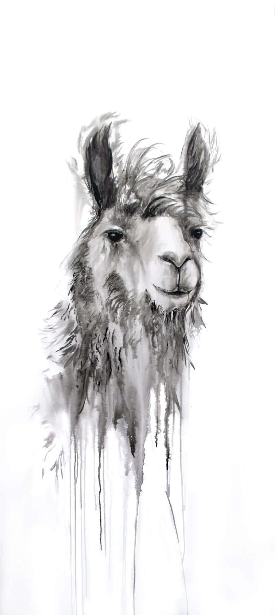 JOLENE | 38 x 30 - Image 4