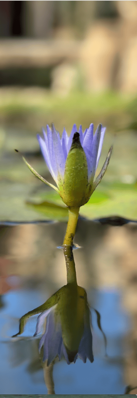 Screenshot 2026-01-25 at 6.39.14 AM