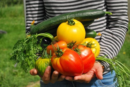 Cultivating Childhood Wellness Through Gardening