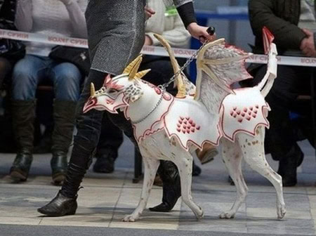 Dragon Dog Halloween Costume