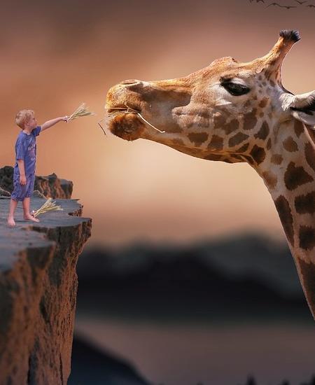 riesci a vivere i tuoi sogni?