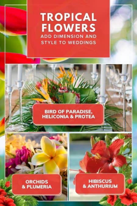 Tropical Flowers to add dimension and style to your wedding