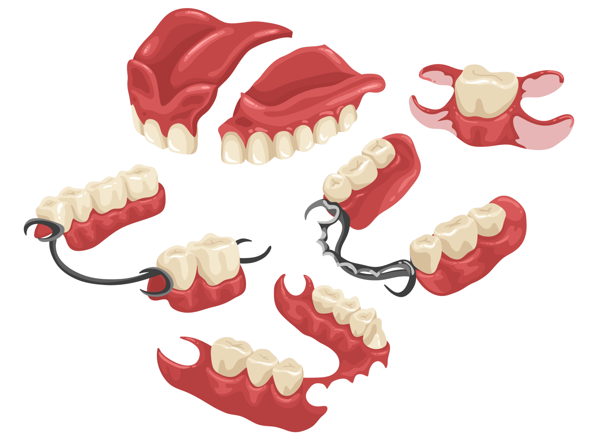 Dental Illustration 3_0-01