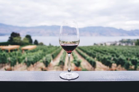Jonathan Sears of SC Discusses Wine Industry News for January 2022