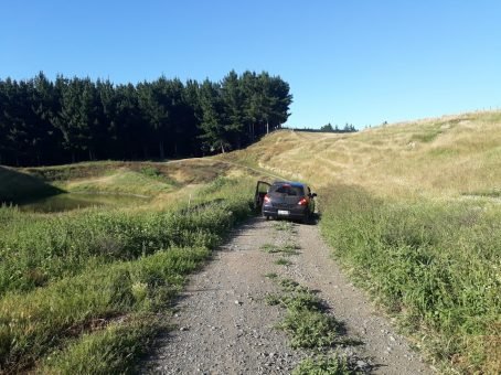 hire car new zealand