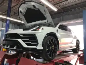 Urus Agm Battery replacement