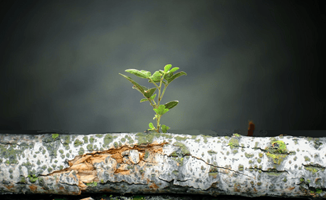 Low-dose Gout Drug, Colchicine, Has Been Approved to Reduce Cardiovascular Events in Patients with Coronary Disease