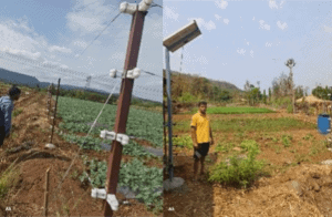 Solar Fencing for farms at a Swades Village Solar Fencing for farms at a Swades Village