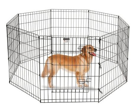 How To Crate Train a Puppy in 7 Steps