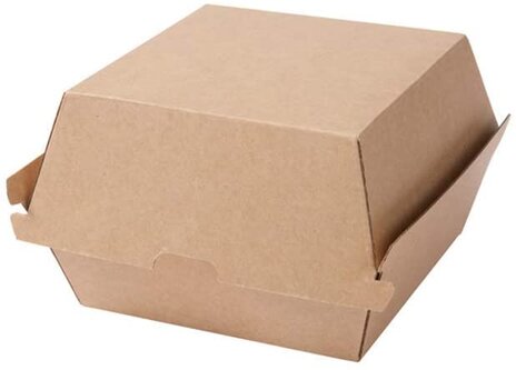 BIOZOYG Box per hamburger con coperchio ribaltabile I 50 contenitori da merenda compostabili in bagassa biodegradabile I Vaschetta per patatine quadrata I 50 lunchbox da asporto 22,9x15,5x7,7cm