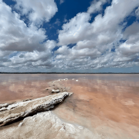 laguna rosa 8