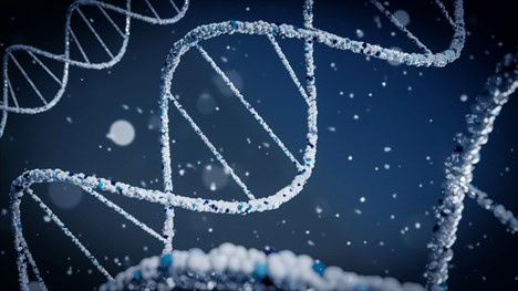 New Developments in Stem Cell Research