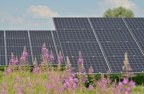 Harnessing the Sun: Why Solar Energy Still Makes Sense in the Bay Area