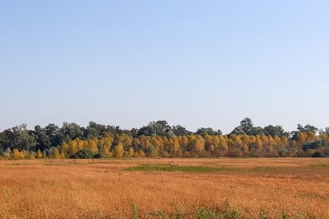 Turning Underused Land into High-Value Property