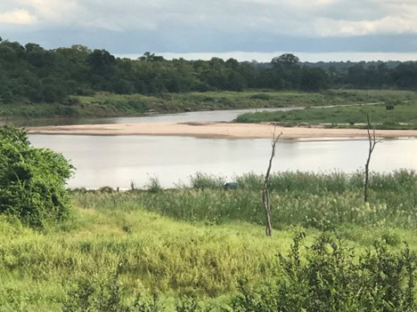 Steve Wentzel Discusses a Major Cause of Biodiversity Loss Around the World