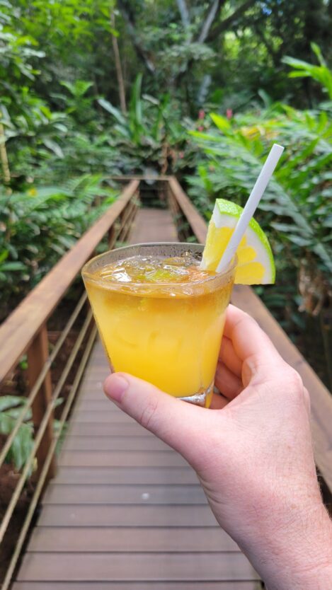 mai tai cocktail tasting on rum safari in kauai