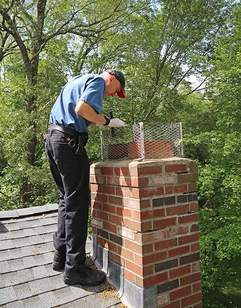 4L6A8994-web chimney inspection