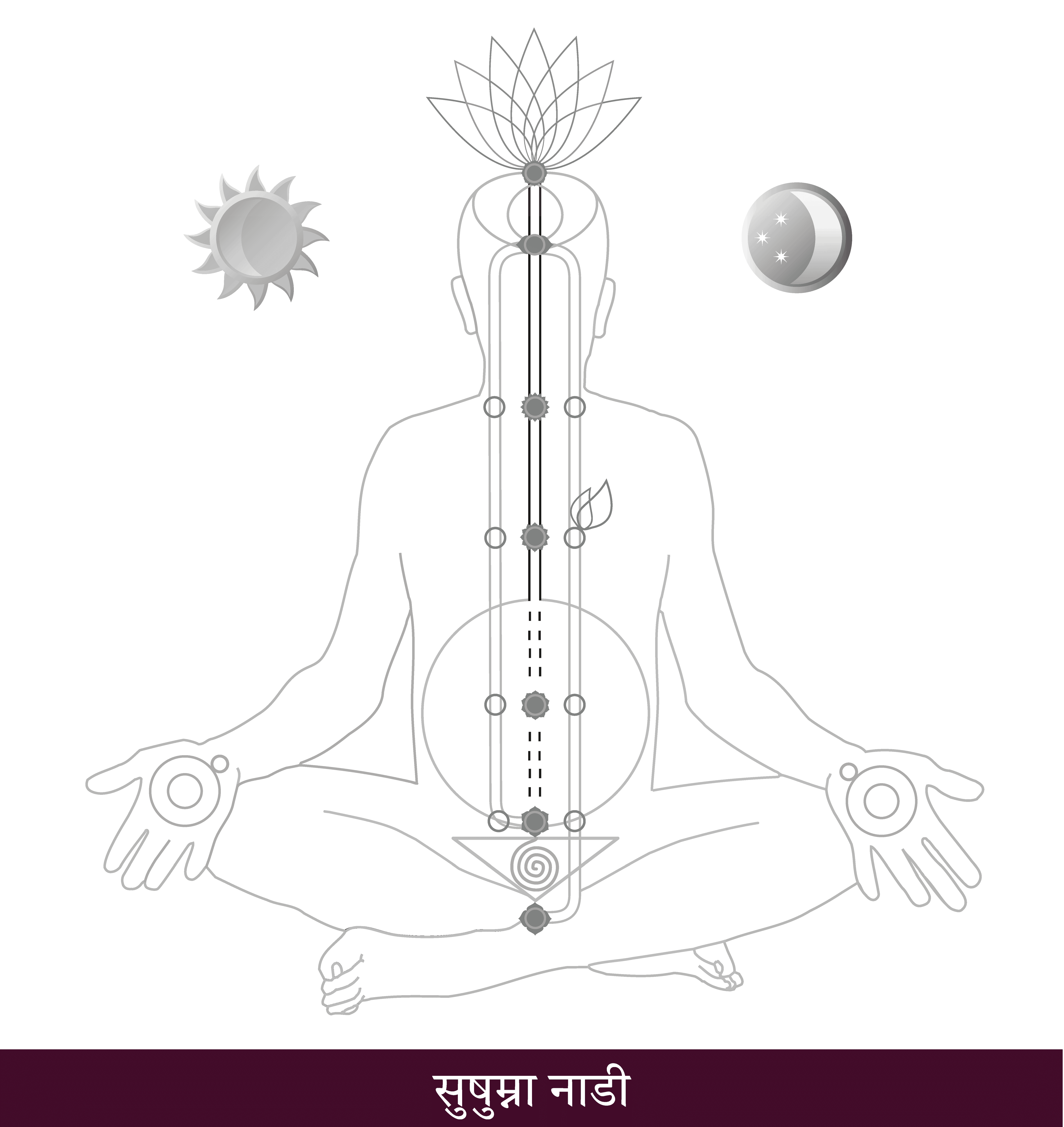 Sushumna Nadi-MA