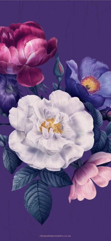 purple vintage rose phone wallpaper