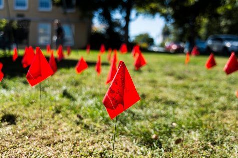 Flags will be displayed to show how prevalent dating violence is.