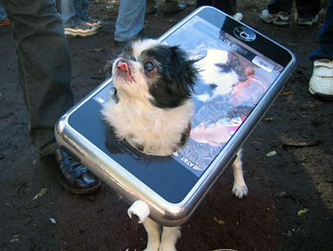 Disfraz de Halloween para perro iPhone